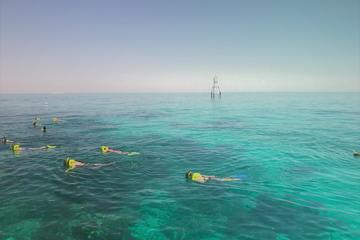 Day Trip 4-Hour Snorkel Charter from Key Largo near Key Largo, Florida 