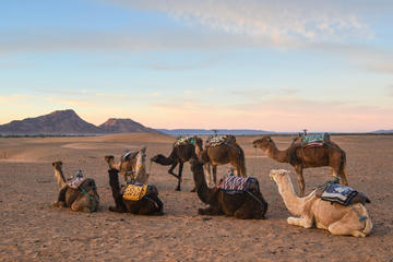02 DAYS MARRAKECH - OUARZAZATE - ZAGORA