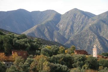 High Atlas Mountains and Desert Day Tour from Marrakech