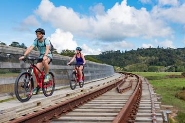 2-Day Best of Twin Coast Cycle Trail Bike Experience