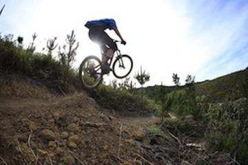 Waitangi Mountain Bike Park Experience