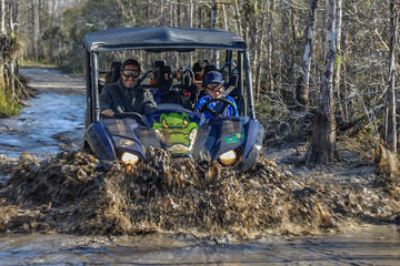 UTV Tour at Big Cypress National Preserve from Miami