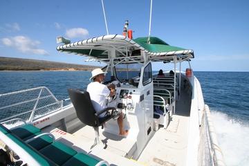 Kaanapali Ocean Adventures - Sanity Snorkel Vessel Private Charters