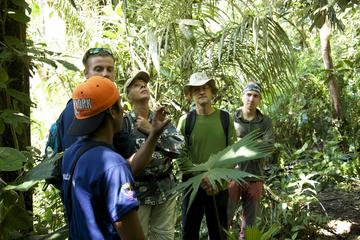 8-Day Private Round trip Andes and Amazon Rainforest