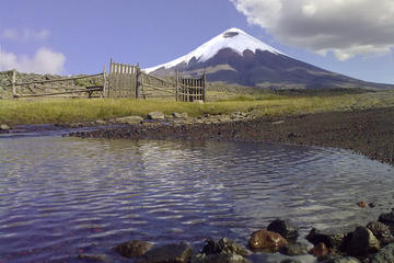 Private Sightseeing Tour of Cotopaxi National Park