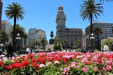 Half-Day Shared City Tour of Montevideo