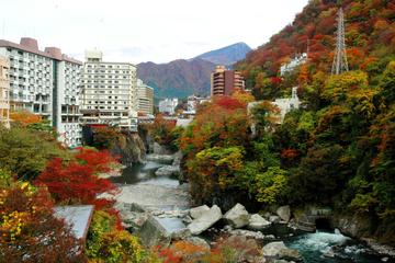 Nikko City Area Pass