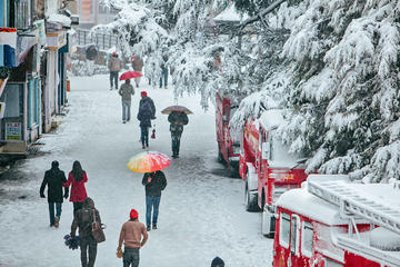 Five Nights Charming Shimla & Manali Tour from Delhi