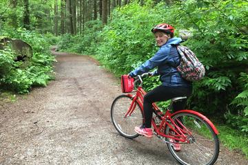5-Hour Small-Group Vancouver Bike Tour