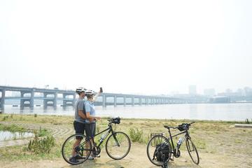 Small Group Guided Afternoon Bike Tour of Seoul and the Han River