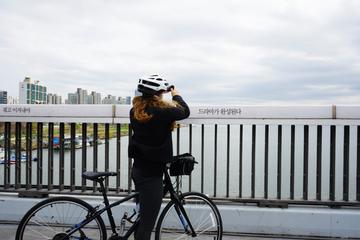 Small Group Guided Morning Bike Tour of Seoul and the Han River