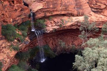 Ayers Rock to Kings Canyon One Way Transfer by Fixed-Wing Aircraft