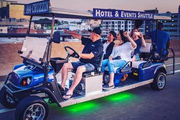 Nashville's Music City Sightseeing Tour