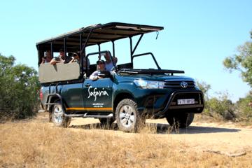 Premium Half-Day Kruger Park Private Safari