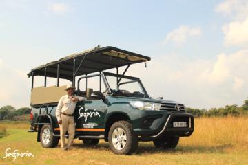 Premium Kruger Park Half Day Safari