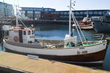 Small-Group Fishing Tour with Gourmet Lunch in Reykjavik