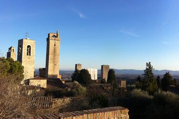 From Rome Wine Tasting in Tuscany