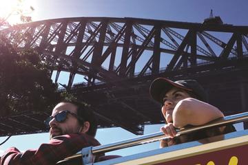 Sydney Shore Excursion: Sydney and Bondi Hop-On Hop-Off Tour