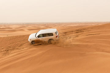 Half-Day Morning Safari With Camel Ride from Dubai