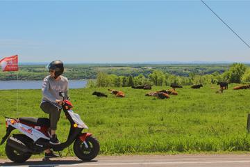 Guided scooter tour on Ile d'Orleans