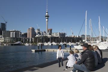 Auckland Sights and Bites Small-Group Walking Tour