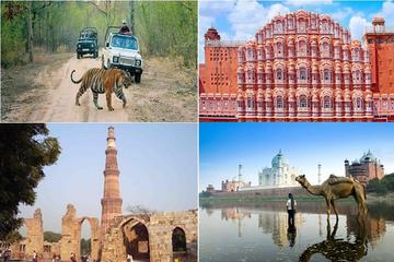 7 DAY PRIVATE GOLDEN TRIANGLE TOUR WITH RANTHAMBHORE WILDLIFE SAFARI