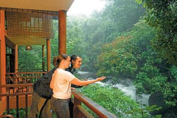 A Unique Rainforest Escape - 3 Nights At Vythiri Resort From Cochin With Private Transfers