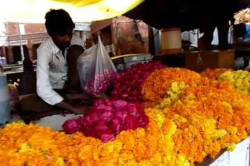 An Early Morning Glimpse of Life In Jaipur