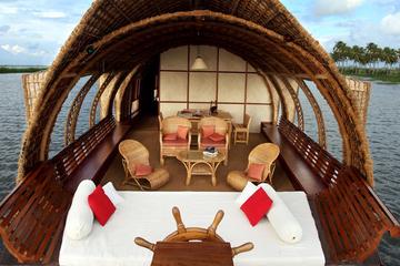 Day Cruise with South Indian Lunch on the Kerala Backwaters with Private Transfer