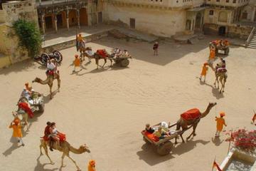 Fascinating Bikaner - a Private Tour