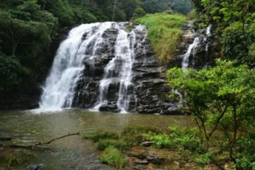 The Beauty And Culture Of Coorg - From Bangalore With Private Transfer