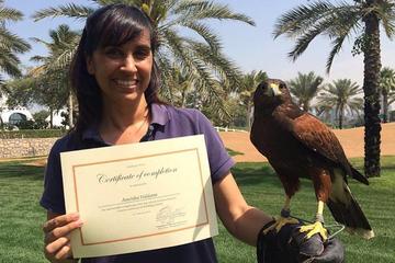 Dubai Falconry School