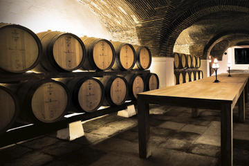 Lisbon: Private Tour All day in Évora with wine taste: in Mercedes