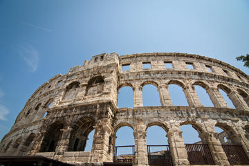Colosseum, Roman Forum and Palatine Hill Skip the Line Tour with Optional Hotel Pick-up