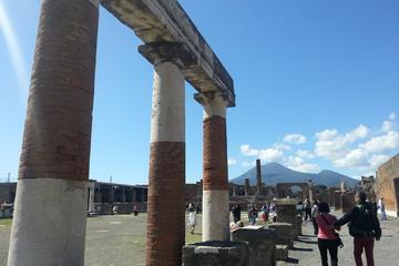 Pompeii Ruins Day Tour from Rome