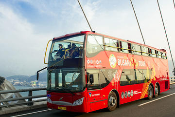Jumbo City Tour Bus