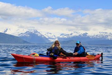 A Taste of Nature Kayak and Gourmet Food Adventure
