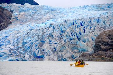 Day Trip Mendenhall Glacier Canoe Paddle and Trek near Juneau, Alaska 