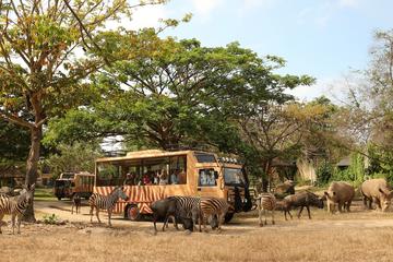 Full Day Bali Safari and Marine Park Dragon Package