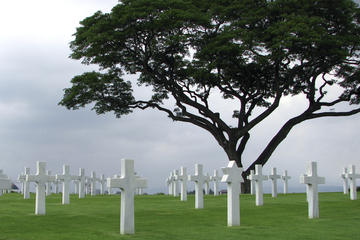 Small-Group Normandy D-Day Battlefields and Landing Beaches Day Trip from Paris
