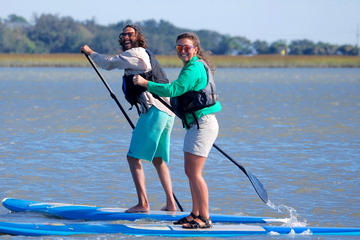 2-Hour Paddle Board Eco-Tour