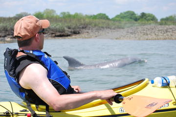 Small-Group Tour: 2-Hour Marsh Kayaking Eco-Tour in Charleston