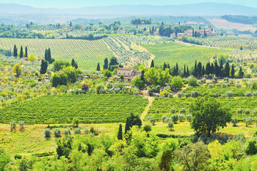 Chianti Semi-Private Cooking Class at a Tuscan Villa with Market Visit