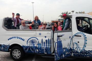 Dubai Shore Excursions