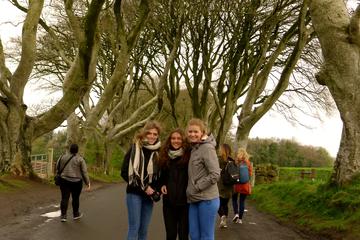 Full Day Giants Causeway Tour From Belfast