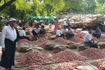 Bagan Community Experience Including Ox-Driven Cart Ride and Local Street Food