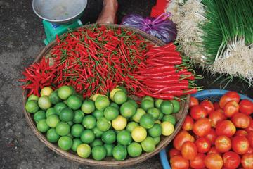 Vietnamese Cooking Class and Hoi An Ancient Town Walking Tour