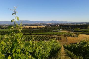 Full-Day Martinborough Guided Wine-Tasting Tour with Lunch