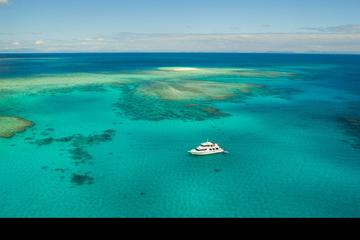 Great Barrier Reef Dive and Snorkel Cruise from Mission Beach