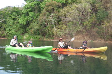 River kayak wildlife and mangrove observation